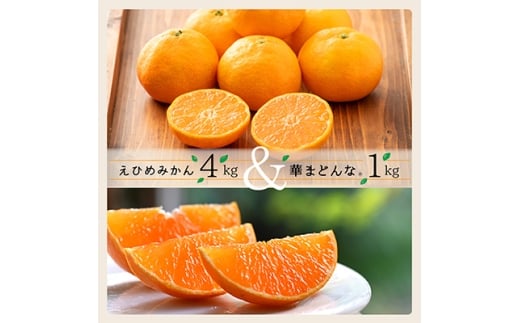 コウ果樹園の「えひめみかん4kg・華まどんな1kg 詰め合せ」<D33-12>_ みかん ミカン 蜜柑 フルーツ 果物 くだもの 人気 美味しい 柑橘類 柑橘 愛媛県 八幡浜市 ふるさと 【1123769】愛媛県八幡