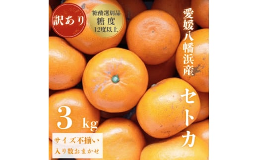 \みかんの大トロ/糖度12.0以上酸1.4以下 糖酸選別品 訳あり 愛媛セトカ3kg<C20-14>_ 訳アリ わけあり ワケアリミカン みかん せとか フルーツ 果物 果実 くだもの 家庭用 人気 甘い ジューシ