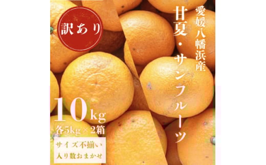 甘夏&サンフルーツ各5kg<訳あり><C20-19>【1094577】愛媛県八幡浜市13000果物・フルーツみかん・柑橘類