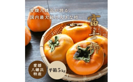 《八幡浜特産 国内最大級の 柿》 富士柿 5kg 種無し<D20-21>【1094600】愛媛県八幡浜市19000果物・フルーツその他 果物・フルーツ