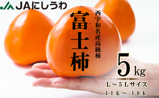 JAにしうわの季節のくだもの(富士柿5kg)<E08-23>【1443271】愛媛県八幡浜市21000果物・フルーツその他 果物・フルーツ