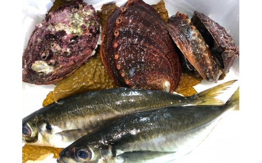 G22-168.竹中水産の八幡浜発!「アワビ三昧」大シリーズ愛媛県八幡浜市32000魚介・海産物貝類