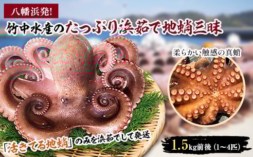 八幡浜発!竹中水産のたっぷり「浜茹で地蛸」三昧!1.5kg前後<F22-189>_ たこ タコ 地たこ 蛸 地蛸 浜ゆで 魚介 魚介類 海鮮 天然 茹で 新鮮 刺身 冷蔵 サラダ 食べ応え 活き 【1043154】愛媛県八