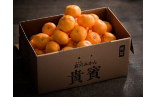 真穴みかん<貴賓>小粒<D44-3>_ みかん 蜜柑 ミカン 愛媛みかん 愛媛 国産 箱  農家直送 産地直送 柑橘 かんきつ 温州みかん 旬 フルーツ 果物 くだもの【1490884】愛媛県八幡浜市16000果物・