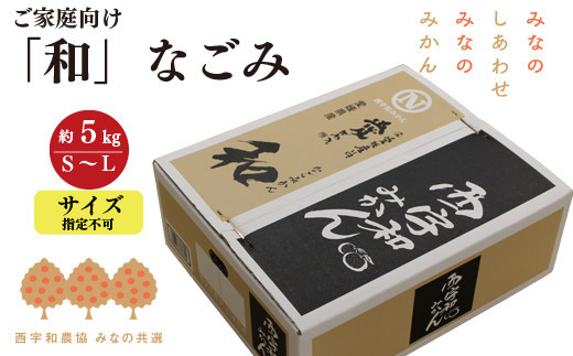 <2024年11月以降発送>濃厚な味わい「和」なごみ(みなの共選・家庭用)約5kg<C28-28>_みかん 柑橘 訳あり フルーツ 果物 くだもの 傷 規格外 家庭用 なごみ 和 人気 おすすめ  愛媛県 八幡浜市