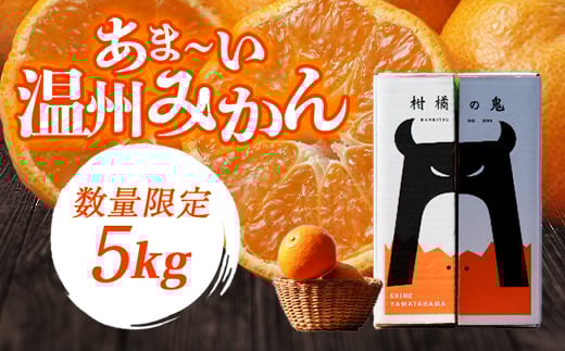 ܁[B݂(승20݂)5kg[ʌ]C56-7_ ݂  ~J t[c ʕ  lC  k k Q ls ӂ邳 y1128575zQls11000