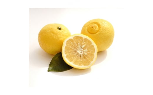 lYE͂邩5.5kg[ʌ!]C56-10y1138744zQls11000ʕEt[c݂Ek