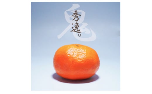k̋S锪lYEB݂8kg[ƒp]C56-17_ ݂ ~J k t[c  ʕ  ӂ[ Â B ƒp W[V[ { Ԍ y1252943zQ
