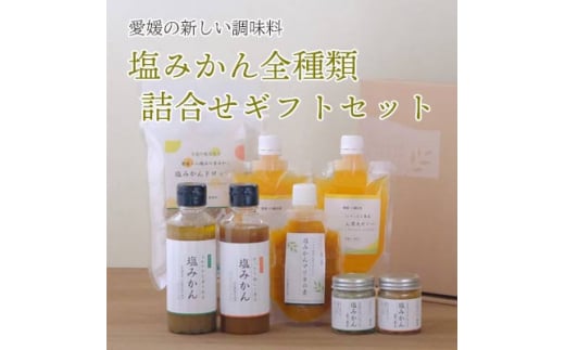 みかんがふわっと香る愛媛の新しい調味料 塩みかん全種詰め合わせセット<D25-81>【1305615】愛媛県八幡浜市15000調味料・油塩・胡椒・砂糖