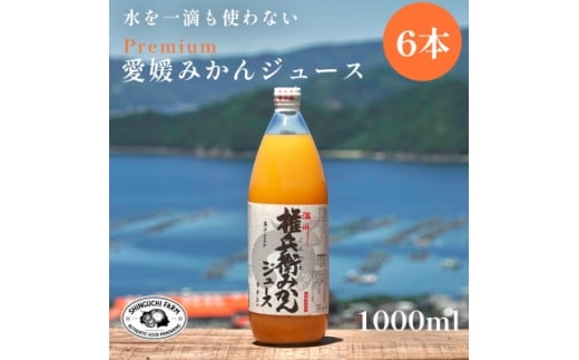 <水を一滴も使わない>愛媛みかん100%ストレートジュース 1000ml×6本<G70-2>【1440737】愛媛県八幡浜市30000お茶・飲料果汁・野菜飲料