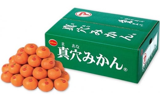 真穴みかん <サイズおまかせ> 5kg<E43-5>_ みかん 蜜柑 ミカン 愛媛みかん 愛媛 真穴 国産 箱  農家直送 産地直送 柑橘 かんきつ 温州みかん 旬 フルーツ 果物 くだもの【1490396】愛媛県八幡