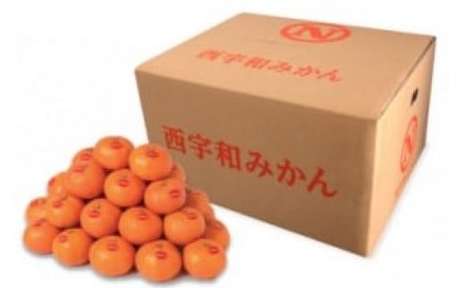 真穴みかん <サイズおまかせ> 10kg<H43-6>_ みかん 蜜柑 ミカン 愛媛みかん 愛媛 国産 箱  農家直送 産地直送 柑橘 かんきつ 温州みかん 旬 フルーツ 果物 くだもの【1490404】愛媛県八幡浜市