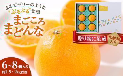 <2025年発送>紅まどんなと同品種 愛媛果試28号 ギフトボックス入り6〜8個<D25-91>_みかん ミカン 蜜柑 まごころまどんな 果物 くだもの フルーツ 希少 甘い おいしい かんきつ 柑橘 柑橘類