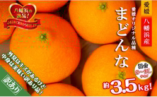 2025年11月発送開始 ぷるぷる食感!「 まどんな 」約3.5 キロ< 訳あり ><D39-44>【1419628】愛媛県八幡浜市15000果物・フルーツみかん・柑橘類