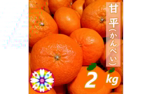 愛咲果樹園 「 甘平 」約2kg<C71-11>_ みかん ミカン 果物 フルーツ くだもの 国産 高級 柑橘 かんぺい 愛媛 甘い ジューシー 人気 旬 限定 果肉 【1344718】愛媛県八幡浜市13000果物・フルーツみ