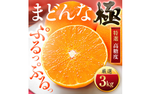 <夕やけブランド>ぷるぷる食感<まどんな>3kg ※紅まどんなと同品種 <E49-22>_みかん 柑橘 まどんな 果物 くだもの フルーツ 人気 おすすめ  甘い 濃厚 愛媛県 八幡浜市【1416588】愛媛