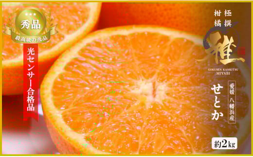 極撰柑橘<雅>光センサー合格品・柑橘の大トロ「 せとか 」約2キロ <C39-47>_ みかん ミカン 柑橘 せとか フルーツ くだもの 果物 ふるーつ 青果 果実 人気 甘い ジューシー 産直 産地直