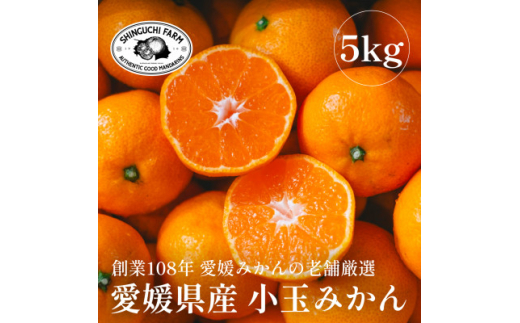 愛媛みかんの老舗厳選<小玉 みかん5kg><C70-4>【1440740】愛媛県八幡浜市13000果物・フルーツみかん・柑橘類