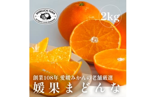 <創業108年>愛媛みかんの老舗厳選<紅まどんなと同品種>媛果まどんな2kg<C70-6>_みかん ミカン マドンナ 紅まどんな同品種 柑橘 柑橘類 フルーツ 果物 くだもの 人気 美味しい 愛媛県 八