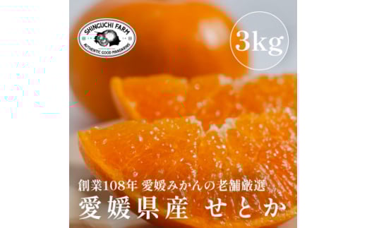 <2026年2月発送>柑橘の大トロ<せとか 3kg>家庭用 愛媛みかんの老舗<E70-9>_ みかん せとか 蜜柑 ミカン 愛媛 柑橘 かんきつ 愛媛みかん 希少 果物 くだもの フルーツ デザート 3kg 家庭用