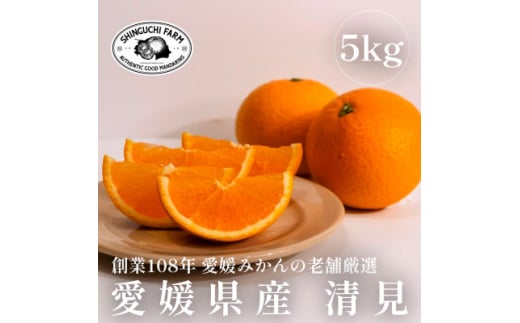 <創業108年>愛媛みかんの老舗厳選<清見 5kg><D70-14>【1470711】愛媛県八幡浜市15000果物・フルーツみかん・柑橘類