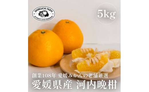 創業108年 愛媛みかんの老舗<河内晩柑 5kg><新口農園><D70-16>【1470706】愛媛県八幡浜市17000果物・フルーツみかん・柑橘類