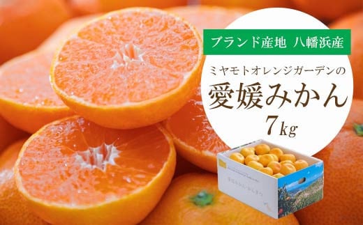 <2025年11月より順次発送>西宇和地区八幡浜市産 愛媛みかん 7kg<E25-123>_ みかん ミカン 柑橘 フルーツ ふるーつ 果物 くだもの 青果 温州 甘い 濃厚 愛媛 希少 産直 産地直送 【1166253】愛媛
