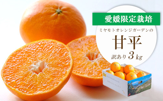 <2026年2月より順次発送>愛媛限定栽培柑橘 甘平(かんぺい)3kg<訳あり><E25-137>【1138005】愛媛県八幡浜市20000果物・フルーツみかん・柑橘類