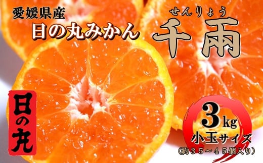 日の丸みかん「千兩」3kg 約35〜45個/Sまたは2Sサイズ/光センサー使用<C79-8>【1452031】愛媛県八幡浜市12000果物・フルーツみかん・柑橘類