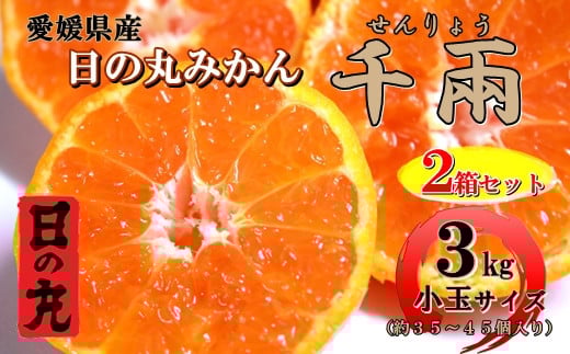 日の丸みかん「千兩」3kg 約35〜45個/2箱セット/S・2Sサイズ/光センサー使用<D79-9>【1452042】愛媛県八幡浜市18000果物・フルーツみかん・柑橘類