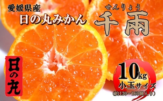 日の丸みかん「千兩」10kg 2S(小玉)サイズ/約130〜160個<D79-10>【1452033】愛媛県八幡浜市18000果物・フルーツみかん・柑橘類