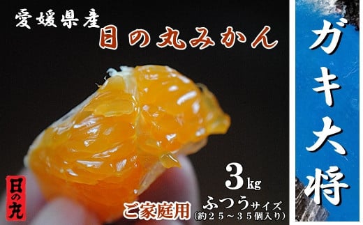 果汁しっかり自然の恵み!「ガキ大将」3kg(L/Mサイズ)/日の丸みかん/ご家庭用<C79-14>【1452037】愛媛県八幡浜市10000果物・フルーツみかん・柑橘類