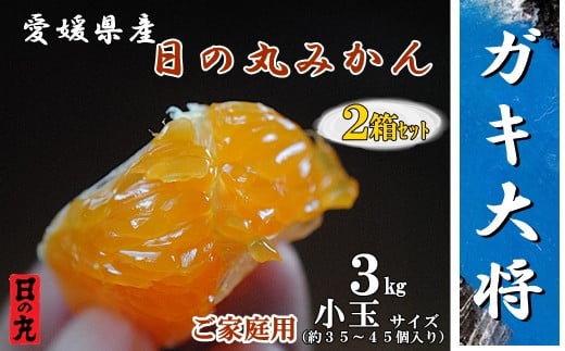 自然の恵み!「ガキ大将」3kg(小玉サイズ)/日の丸みかん/ご家庭用/2箱セット<C79-17>【1452041】愛媛県八幡浜市14000果物・フルーツみかん・柑橘類