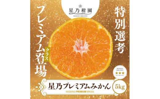 <三つ星ブランド>星乃みかんプレミアムシリーズ(5kg)<D45-84>【1454778】愛媛県八幡浜市18000果物・フルーツみかん・柑橘類