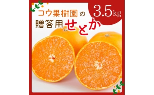 コウ果樹園の贈答用<せとか>3.5kg(バラ詰め)<D33-34>_みかん ミカン せとか 柑橘 フルーツ 果物 くだもの 完熟 産直 産地直送 甘い ジューシー 高糖度 愛媛 希少 おすすめ 人気 【1457340】愛
