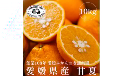 愛媛みかんの老舗厳選<甘夏10kg><E70-27>【1470661】愛媛県八幡浜市20000果物・フルーツみかん・柑橘類
