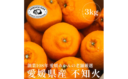 創業百八年 愛媛みかんの老舗<不知火3kg>家庭用<新口農園><C70-29>_みかん ミカン 不知火 しらぬい 濃厚 甘い 柑橘 果物 フルーツ えひめ 愛媛県 八幡浜市 【1470656】愛媛県八幡浜市10000