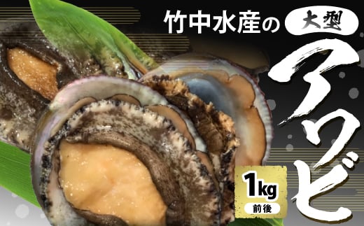竹中水産の嗜好の大型アワビ(1s前後)!<H22-227>_ 鮑 アワビ あわび 刺身 竹中水産  産直 冷蔵 海鮮 魚貝 1kg 人気 おすすめ 大型 ステーキ グルメ 【1060851】愛媛県八幡浜市50000魚介・海産物貝