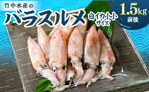 竹中水産のバラスルメ(白イカの小小サイズ)1.5kg<C22-271>_ いか イカ スルメイカ するめいか バラスルメ 烏賊 魚介 魚介類 海鮮 鮮魚 冷凍 BBQ 簡単調理 愛媛 八幡浜 小サイズ ミニ 【1115289】