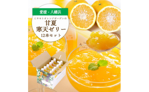 ほろ苦く甘酸っぱいさわやかな味わい 愛媛産 甘夏寒天ゼリー12本セット<D25-17>【1255524】愛媛県八幡浜市15000菓子・スイーツプリン・ゼリー