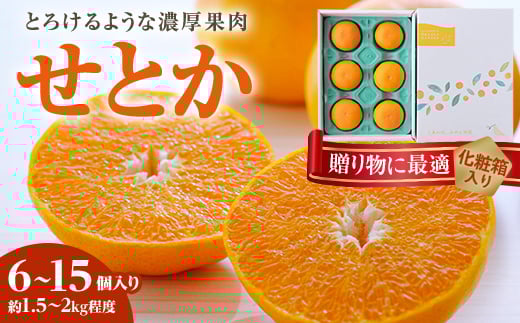 <2026年2月以降発送>とろける濃厚柑橘 せとか ギフトボックス入り<E25-98>_柑橘 ミカン せとか オレンジ フルーツ 果物 くだもの 人気 おすすめ  甘い ジューシー 愛媛県 八幡浜市 化粧箱