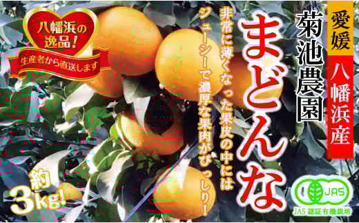 <JAS認証有機栽培>こんな柑橘初めてプルプル新食感「まどんな」約3kg<D39-25>【1044609】愛媛県八幡浜市15000果物・フルーツみかん・柑橘類