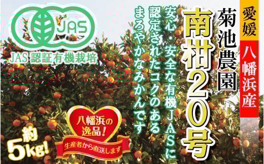 JASFؗL@͔|ZȖ킢̉B݂!!er_u승20v5kgC39-23y1044610zQls13000ʕEt[c݂Ek