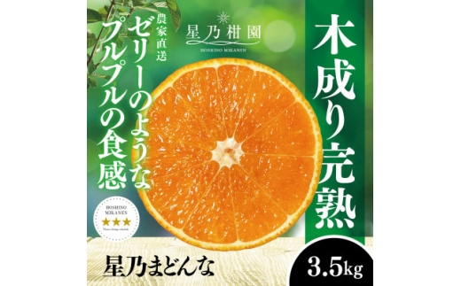 星乃みかん園の 星乃まどんな (3.5kg)<D45-63>_ ミカン 蜜柑 みかん マドンナ 紅まどんな同品種 フルーツ 果物 くだもの 柑橘 柑橘類 人気 美味しい 愛媛県 八幡浜市 ふるさと 【1339327】愛媛県