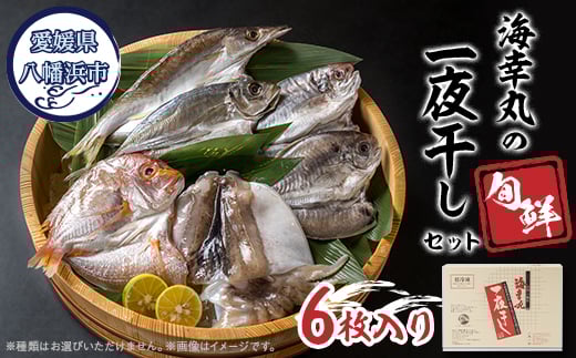 CKۂ̏{N銱Zbg(6)D15-6y1505188zQls16000ECY