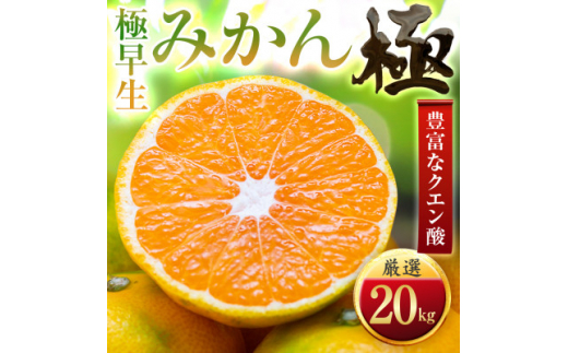 <太陽をたっぷり浴びた>極早生みかん<極>20kg(小玉)<H49-38>【1508917】愛媛県八幡浜市50000果物・フルーツみかん・柑橘類