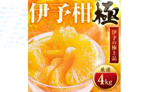 <太陽をたっぷり浴びた>伊予柑<極>4kg<C49-42>【1509739】愛媛県八幡浜市10000果物・フルーツみかん・柑橘類