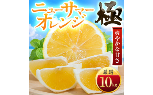 <太陽をたっぷり浴びた>ニューサマーオレンジ<極>10kg<H49-59>【1509762】愛媛県八幡浜市40000果物・フルーツみかん・柑橘類