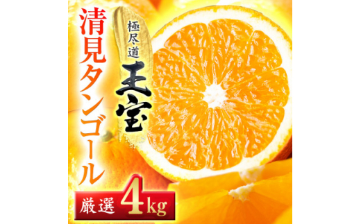 QYʕ󐴌^S[@4kgC64-34y1510844zQls10000ʕEt[c݂Ek