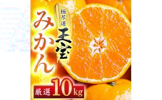 QYʕ݂ 10kgG64-27y1510741zQls30000ʕEt[c݂Ek